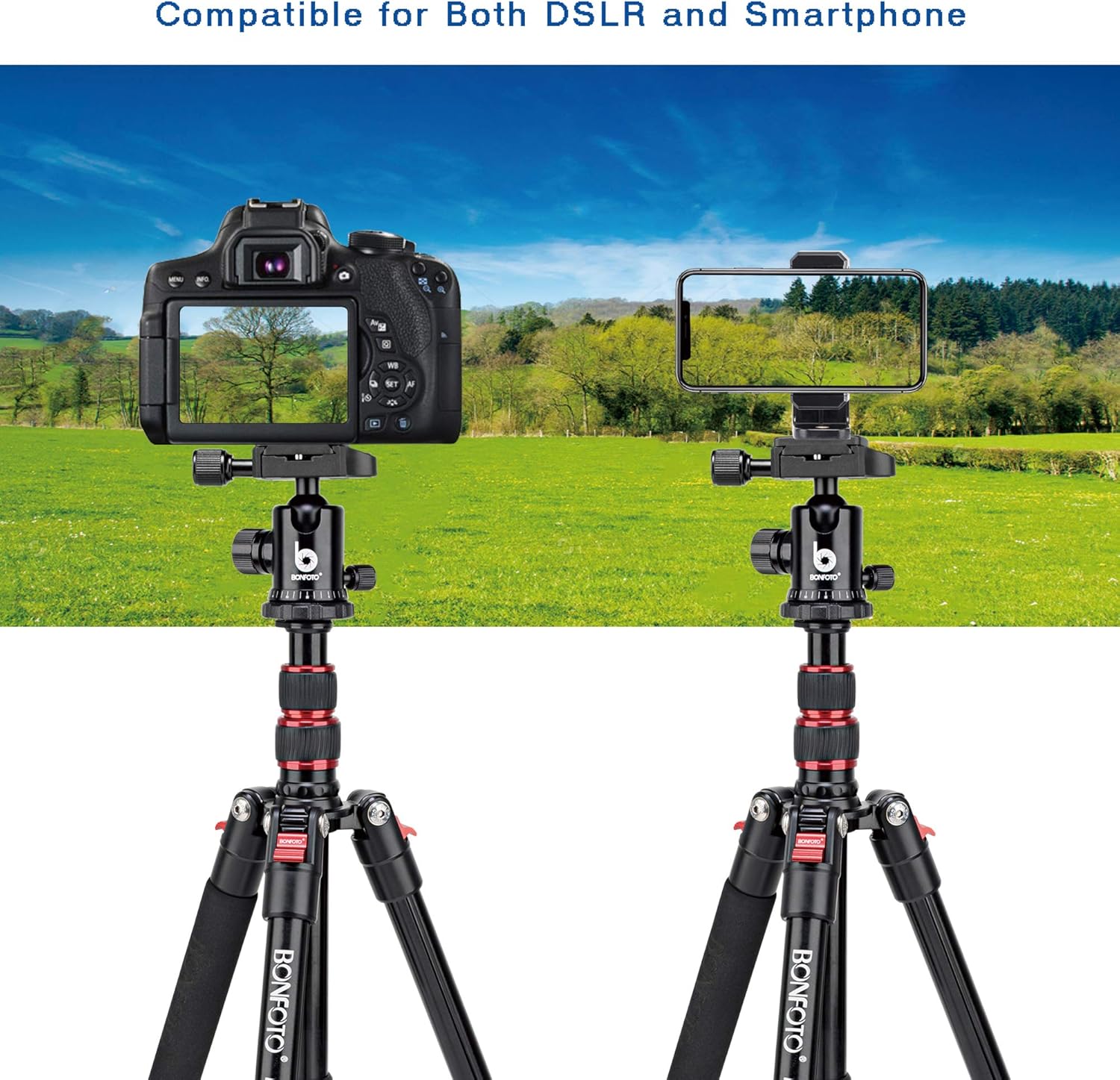B690A Camera Tripod for Travel,Lightweight Aluminum Portable DSLR Tripod with 360 Degree Ball Head and Carry Bag, Camera Stand for Ring Light & Canon Nikon Sony DSLR